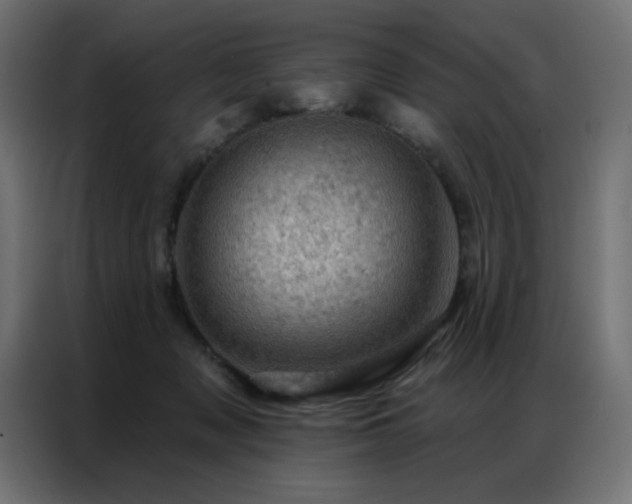 X0000087000317200704161528
