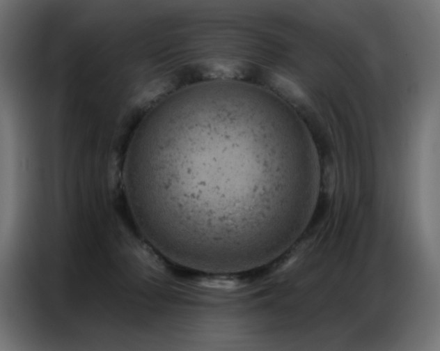 X0000087000318200704161528