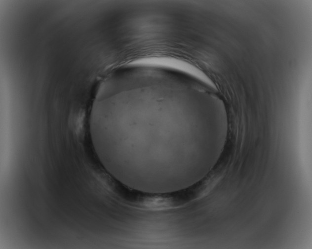 X0000087000319200704161528