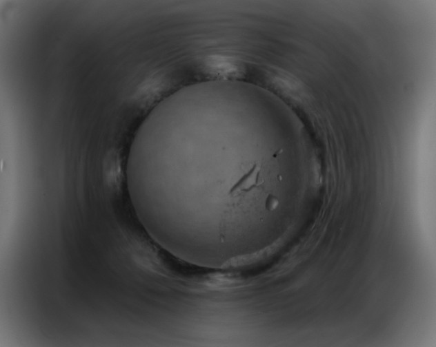 X0000087000320200704161528