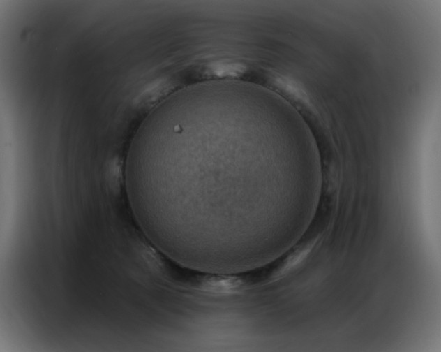 X0000087000321200704161528