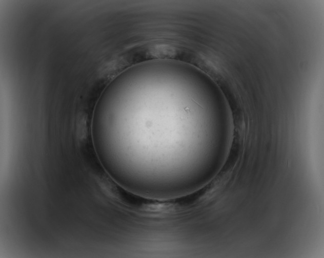 X0000087000323200704161528
