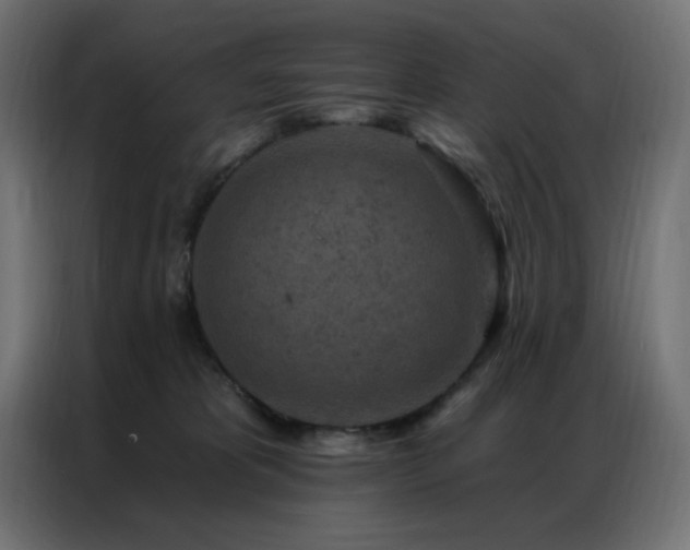 X0000087000325200704161528