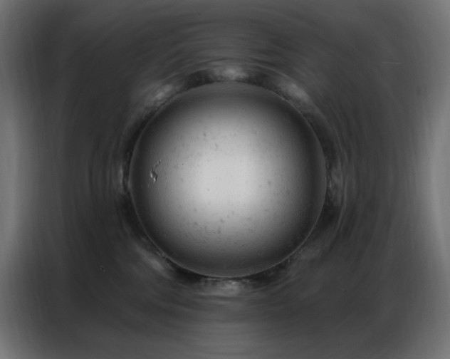 X0000087000330200704161528