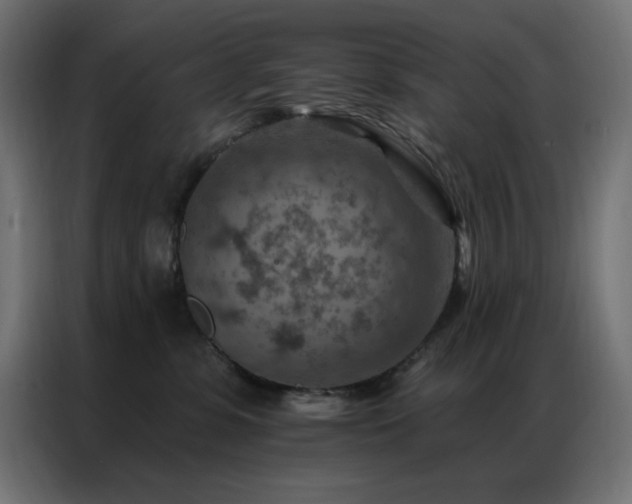 X0000087000331200704161528