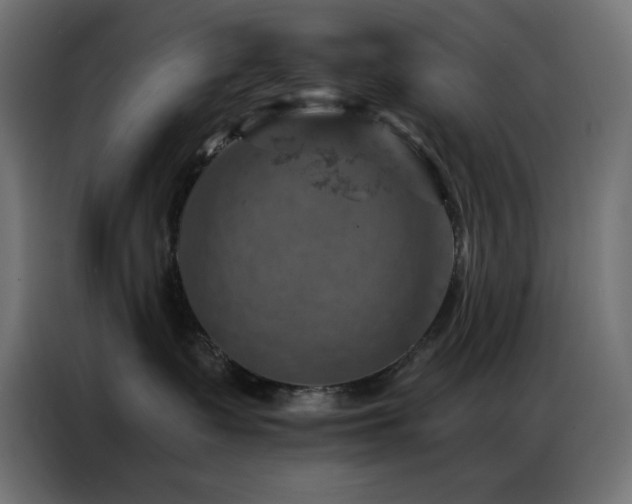 X0000087000335200704161528