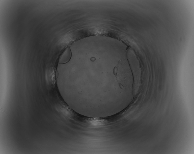 X0000087000336200704161528