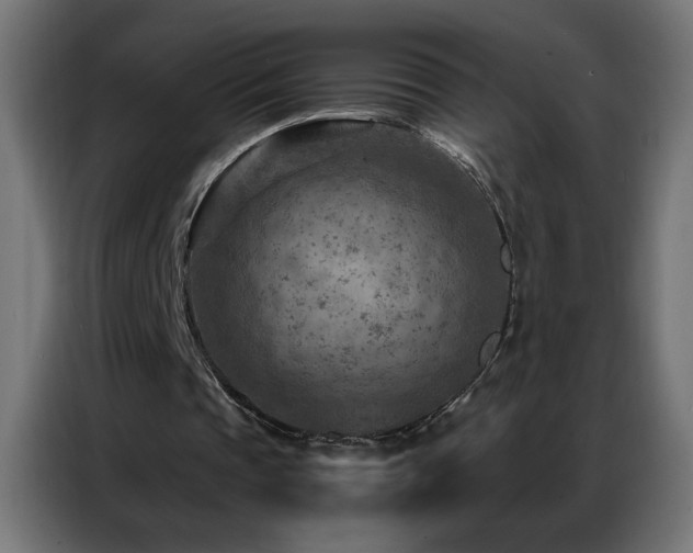 X0000087000337200704161528