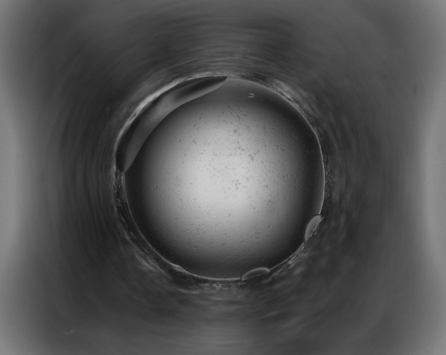 X0000087000338200704161528