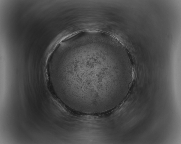 X0000087000339200704161528