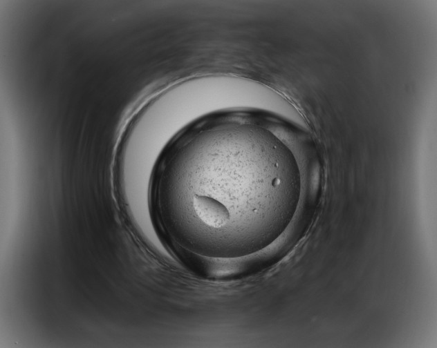 X0000087000340200704161528