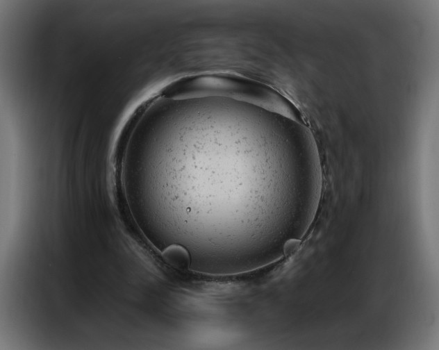 X0000087000342200704161528