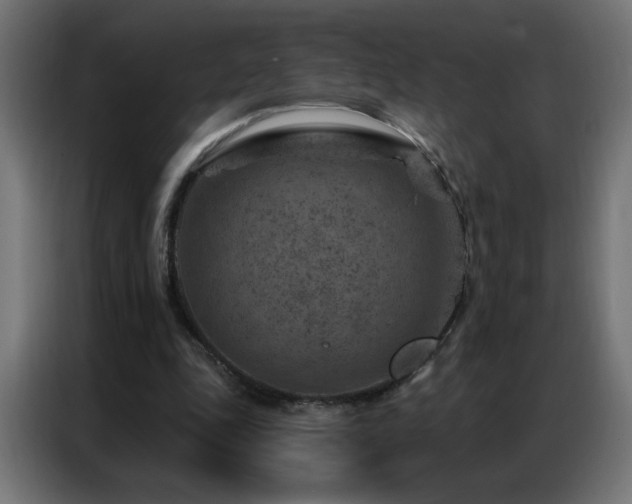 X0000087000343200704161528
