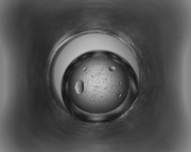 X0000087000344200704161528