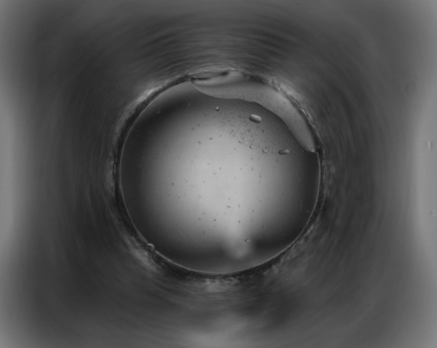 X0000087000345200704161528