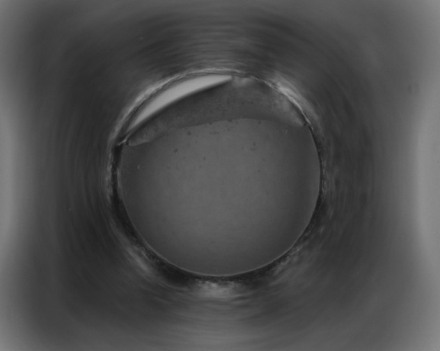 X0000087000346200704161528