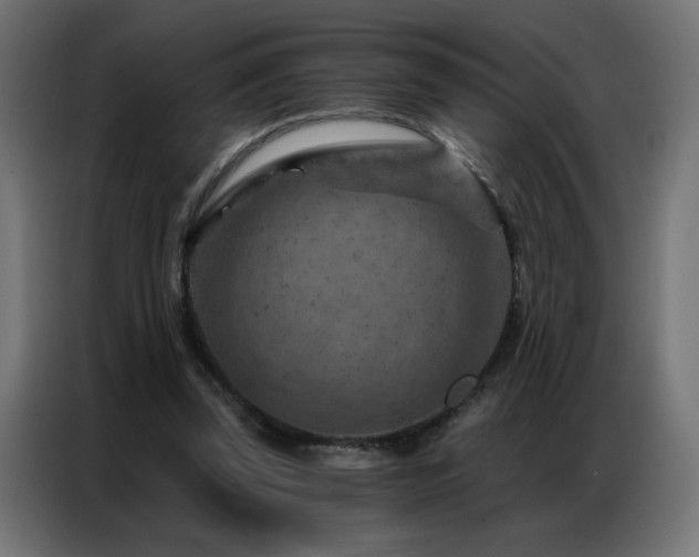 X0000087000347200704161528