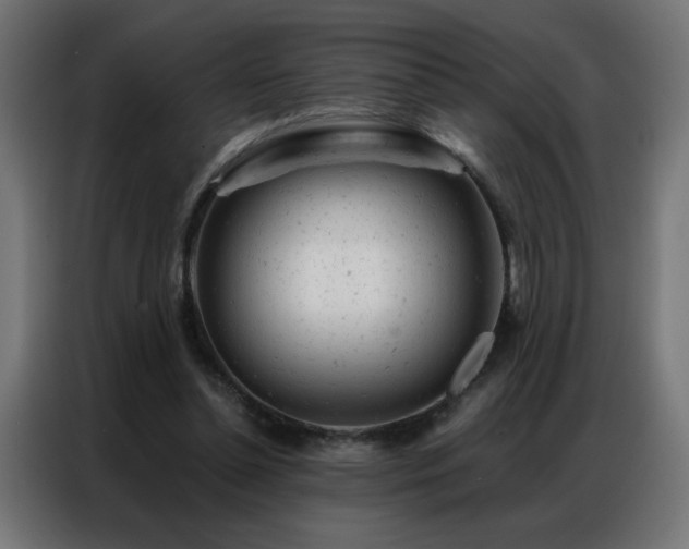 X0000087000348200704161528