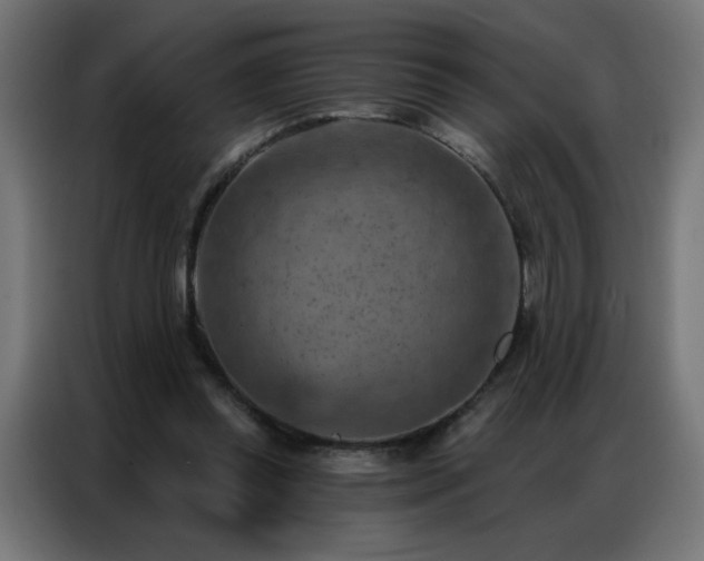 X0000087000349200704161528