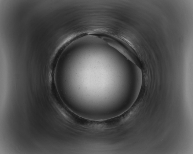 X0000087000350200704161528