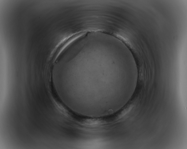 X0000087000351200704161528