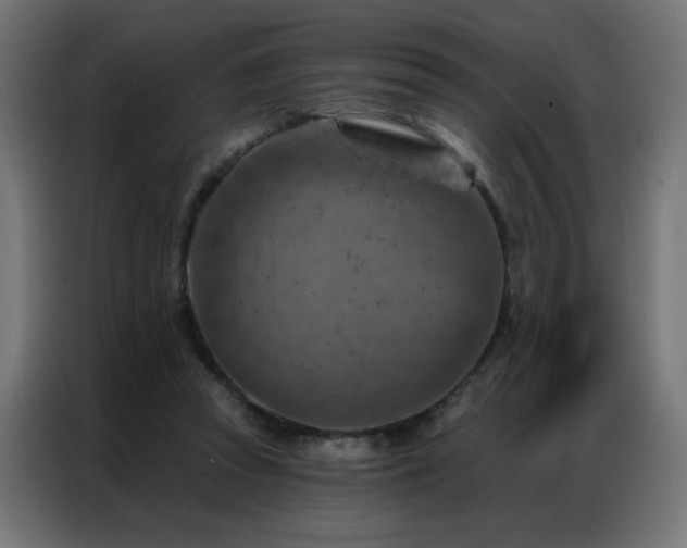 X0000087000353200704161528