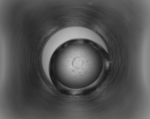 X0000087000356200704161528