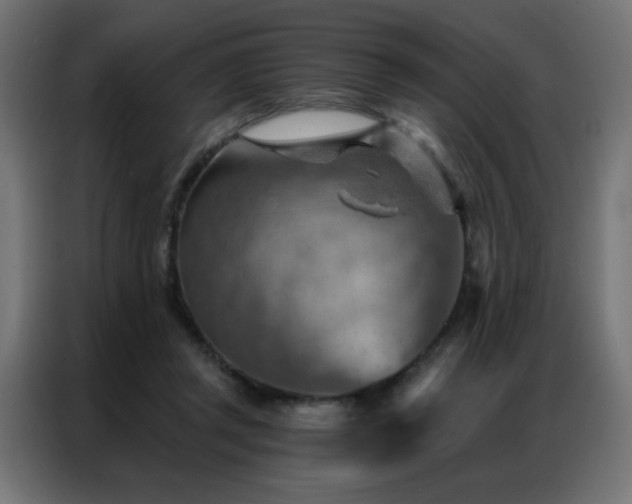 X0000087000357200704161528