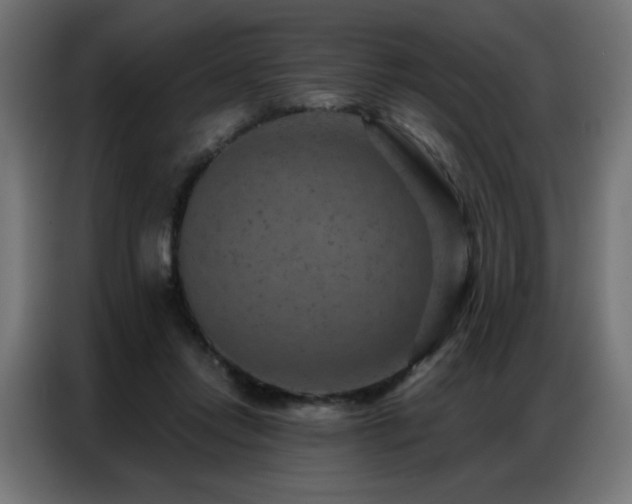 X0000087000358200704161528