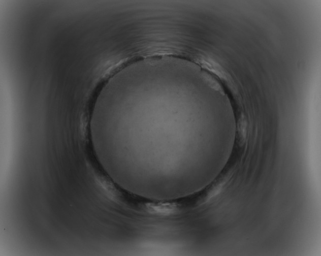 X0000087000359200704161528
