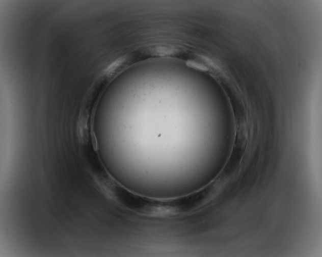 X0000087000360200704161528