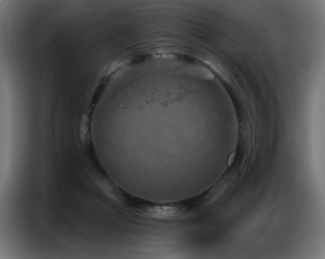 X0000087000361200704161528