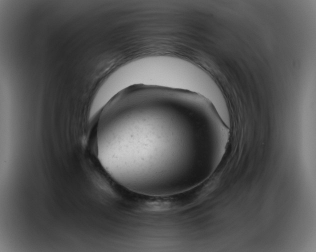 X0000087000362200704161528