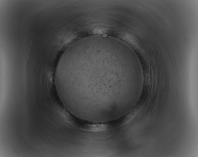 X0000087000363200704161528