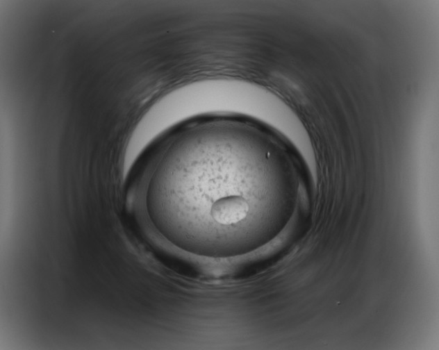 X0000087000364200704161528