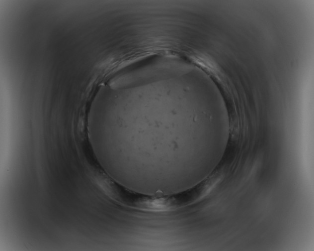 X0000087000365200704161528
