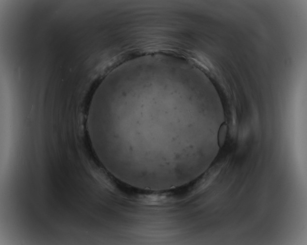 X0000087000366200704161528