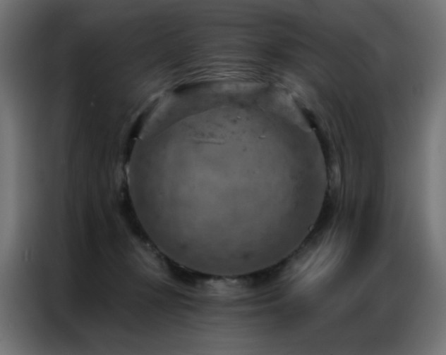 X0000087000367200704161528