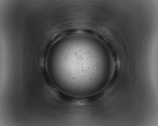 X0000087000368200704161528