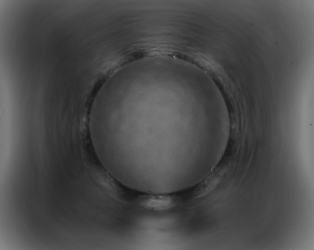 X0000087000369200704161528