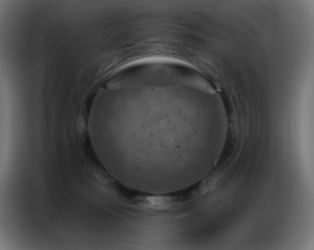 X0000087000371200704161528