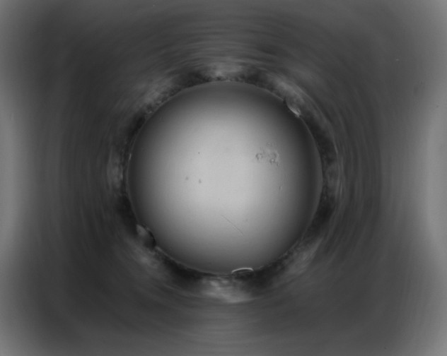 X0000087000372200704161528