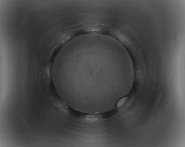 X0000087000373200704161528
