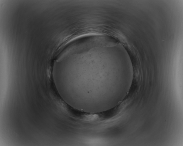 X0000087000374200704161528