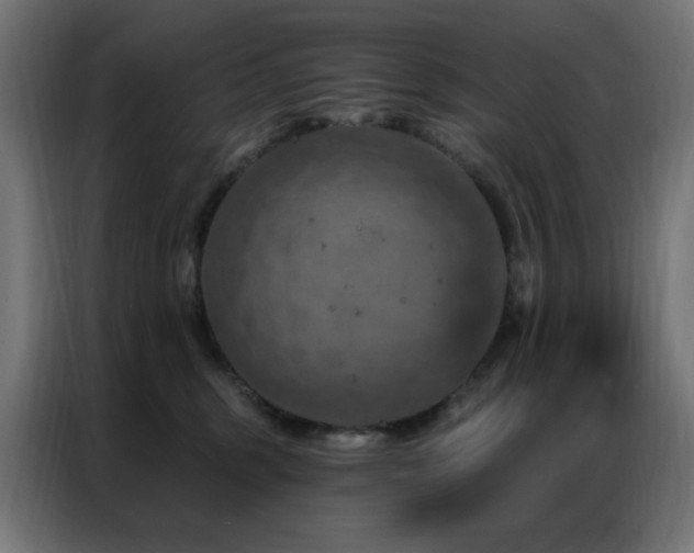 X0000087000375200704161528