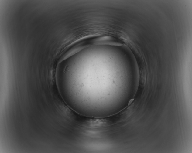 X0000087000378200704161528