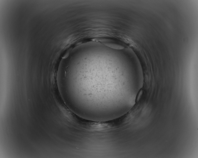 X0000087000379200704161528