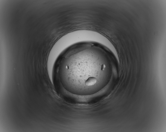 X0000087000380200704161528