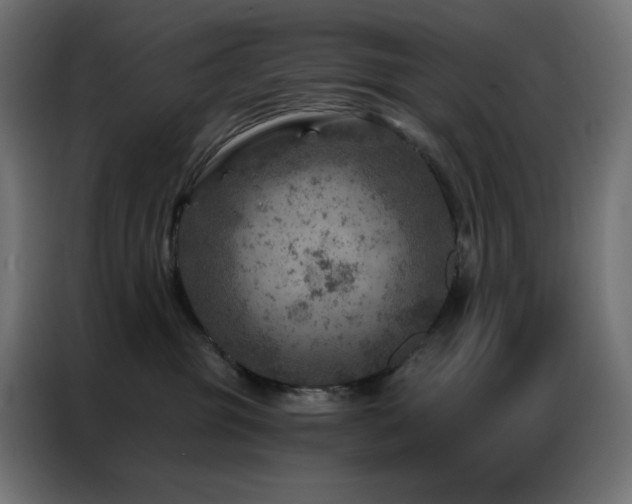 X0000087000381200704161528