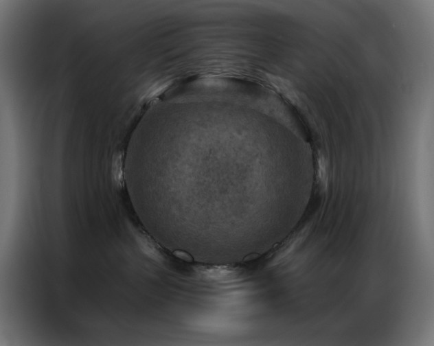 X0000087000383200704161528